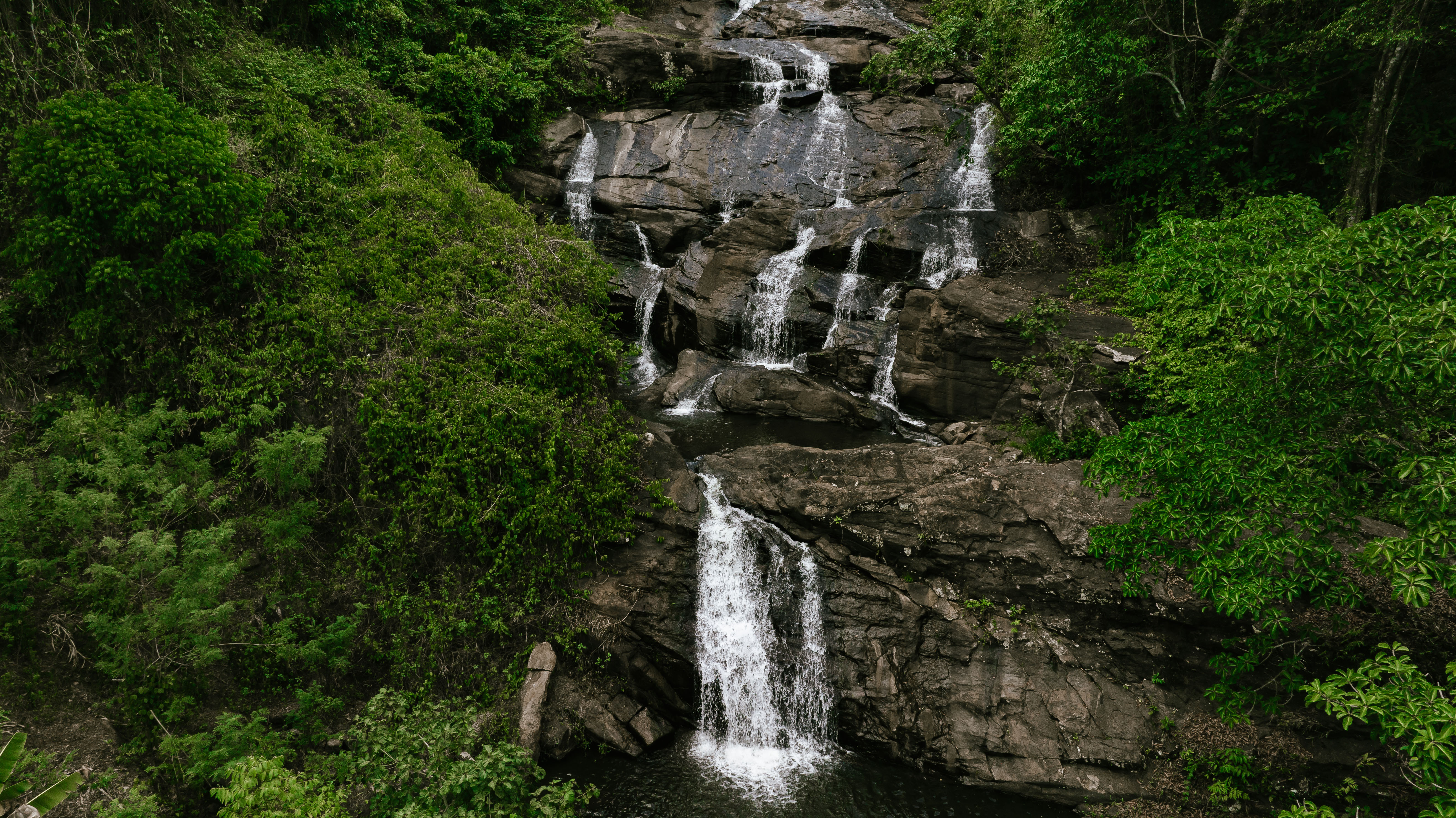 Forest with waterfalls