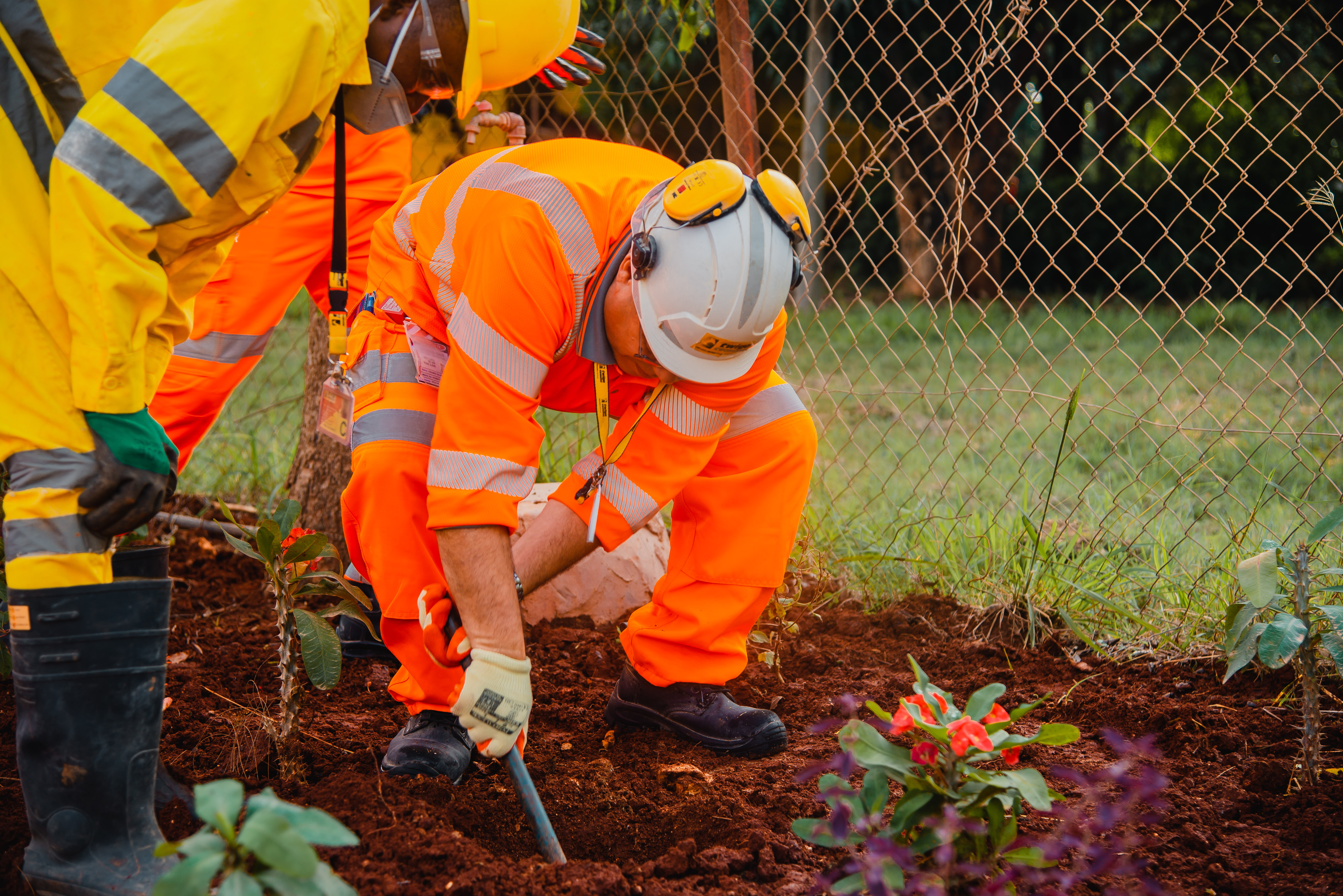 A person planting a tree