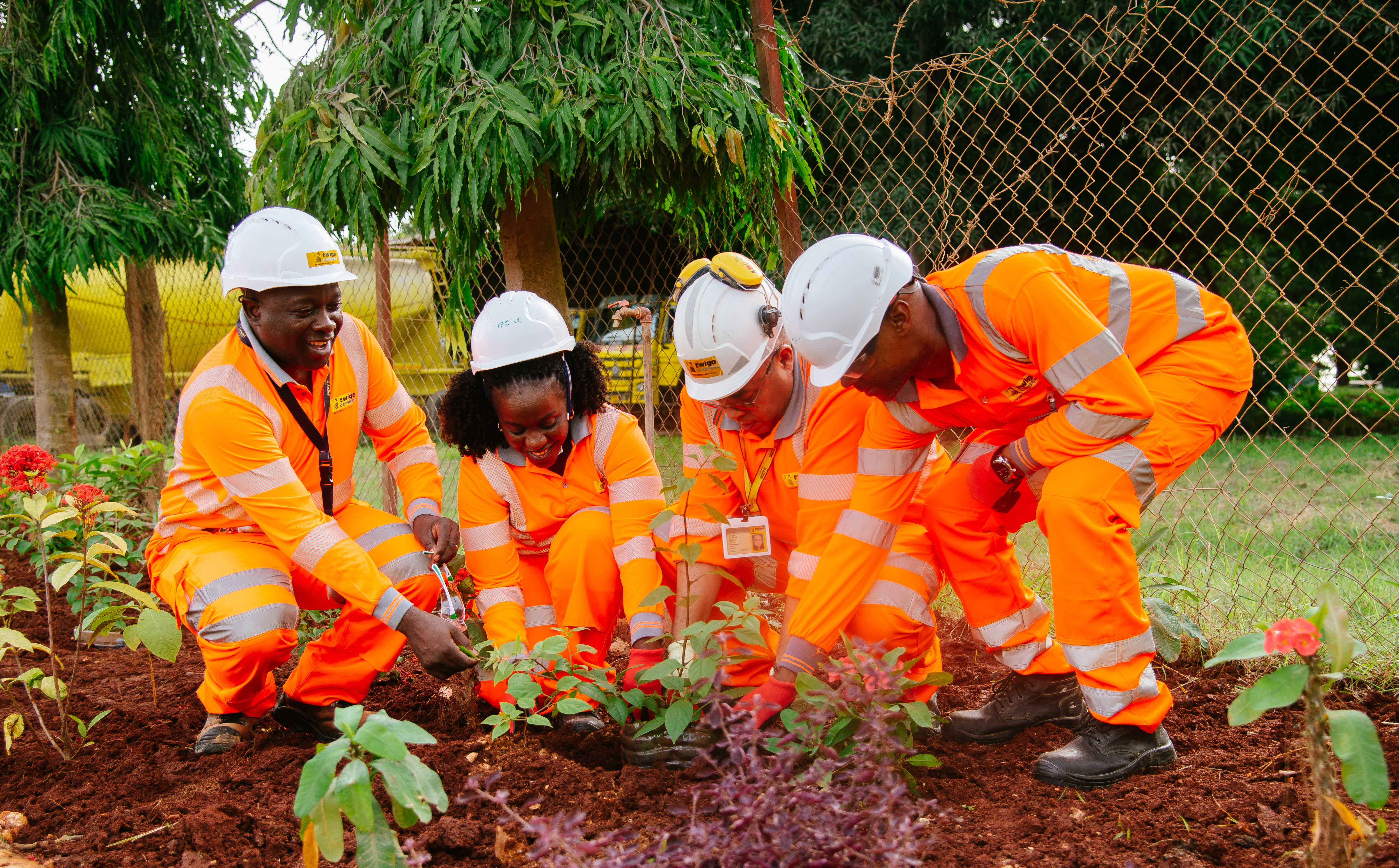 People planting trees