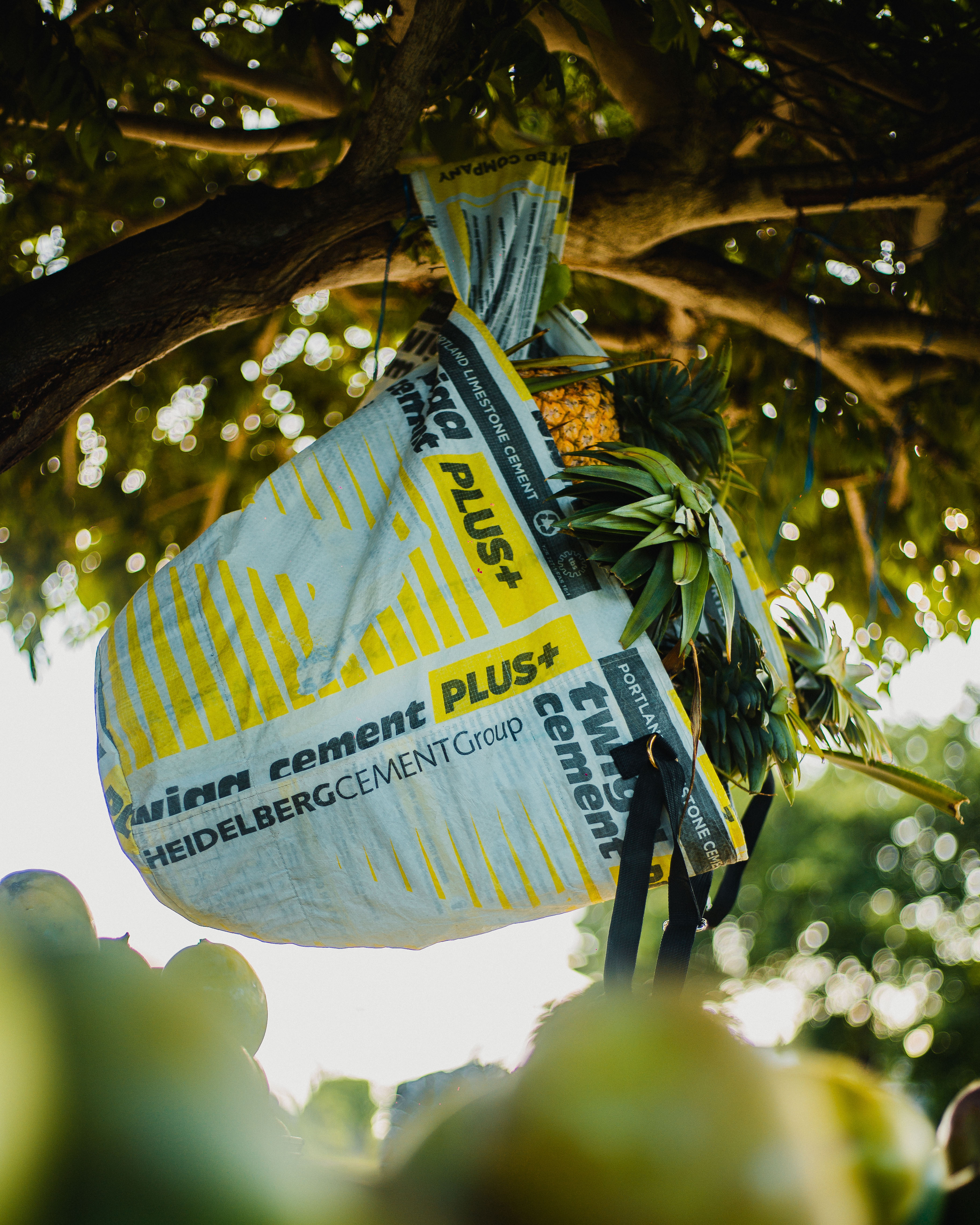 Twiga Bag with fruits