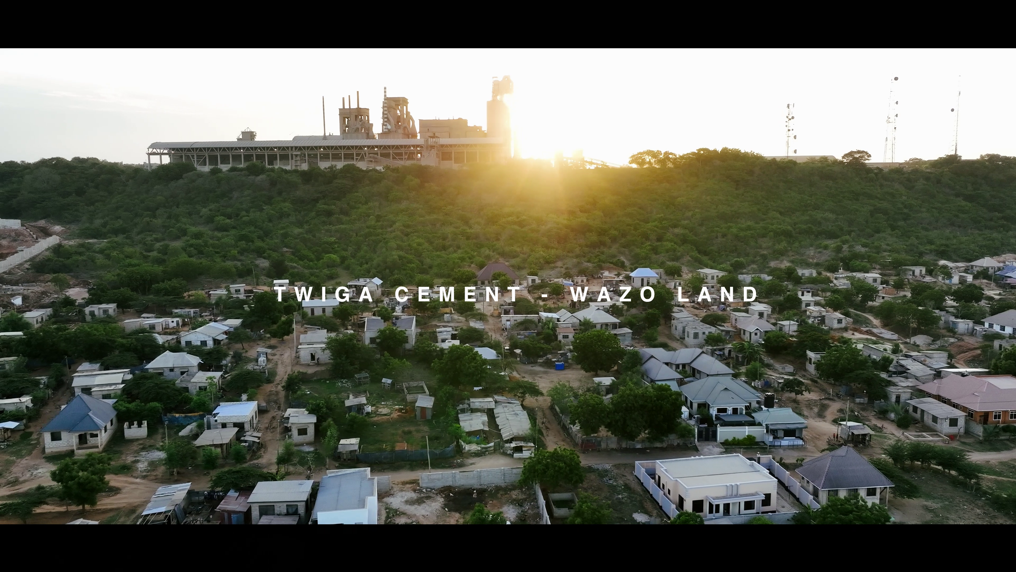 Twiga Plant and sunset